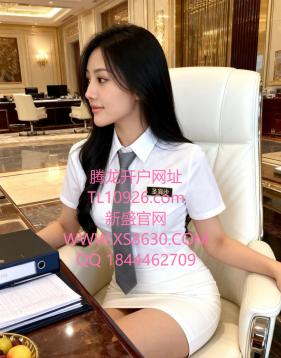 新盛公司怎么注册会员账号、公司负责人怎么联系