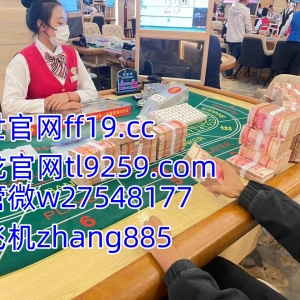 新百胜公司游戏注册登陆会员网址?www.tl9259.com